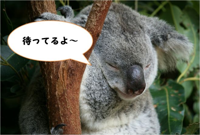 自分の体と心を大切にしたい人の睡眠のお話