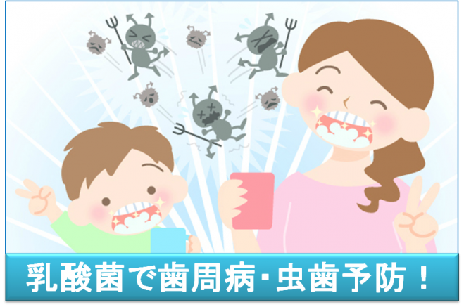 乳酸菌で歯周病・虫歯予防!