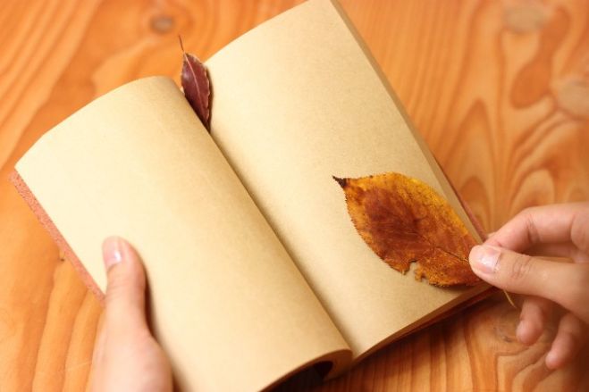 「6名さま限定」読書の秋に積ん読、未読の本を解消する読書会