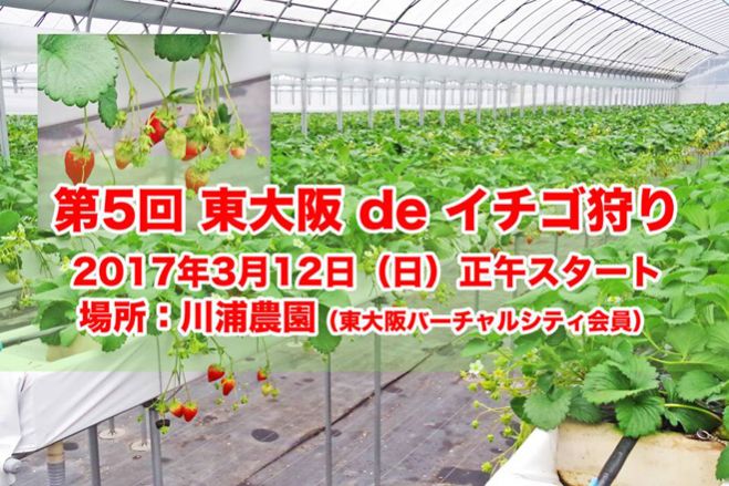 第5回 東大阪 de イチゴ狩り
