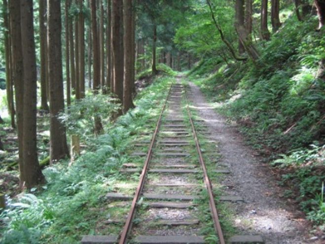 元京都在住ガイドと行く 芦生原生林トレッキング 京都の町家に泊まり大文字山に登ろう!