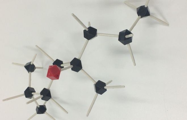 東京薬科大学名誉教授 指田 豊先生に学ぶ「精油の化学」