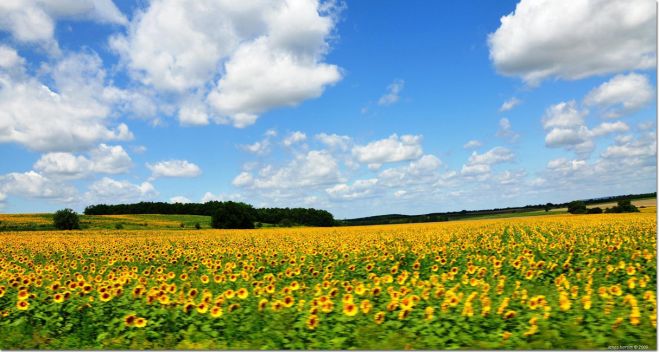 正しい季節の過ごし方~夏編~ 2017年6月20日【火曜日 午前クラス】(北海道)