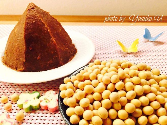 【安心・安全‼︎無農薬の原料から作る】味噌作りモニター講座