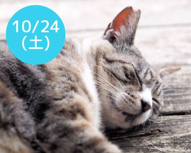 10/24(土)【眠れない本当の理由を知り、快眠ボディを得る!ワークショップ】東京
