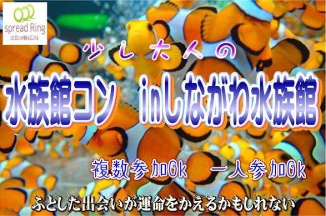 5/4(木)☆可愛い魚達を見て童心を振り返りながら ゆったりデートを楽しむ! 水族館コン☆ IN 品川 【シャッフル有り】