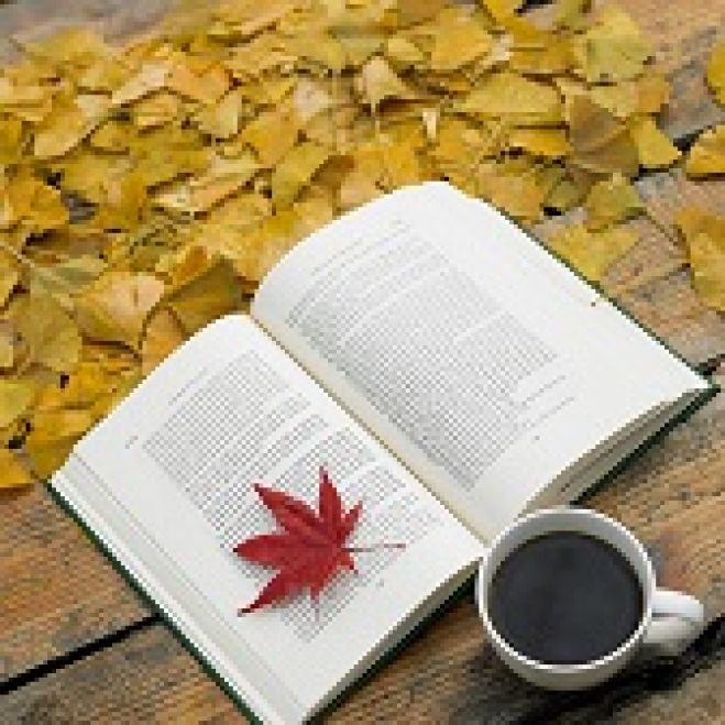 早起きして一日をスタート♪朝活カフェ読書交流会(^^♪【横浜】20代30代集まれ!