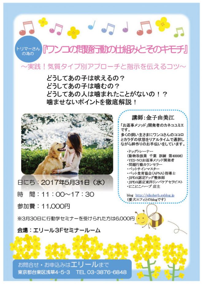 トリマーさんの為の『ワンコの問題行動の仕組みとそのキモチ』20170531