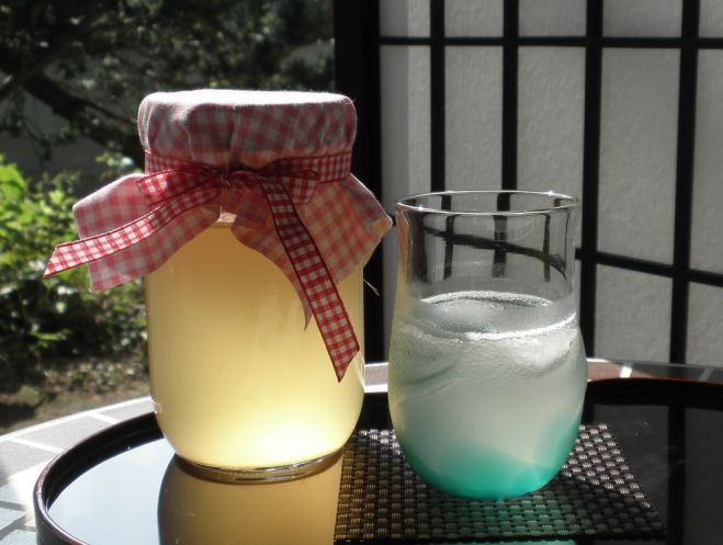 酵素ドリンク教室 講師養成講座 in 石川イベント