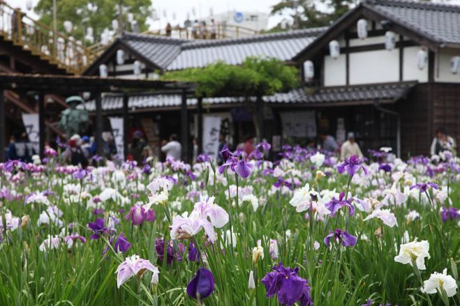 茨城まちづくりプラットフォーム第7弾in潮来