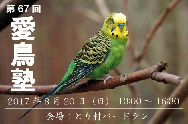 第67回 愛鳥塾(スキルアップセミナー)