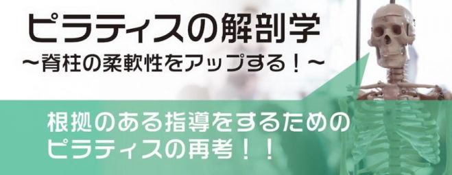 ピラティスの解剖学 ~脊柱の柔軟性をアップする!~