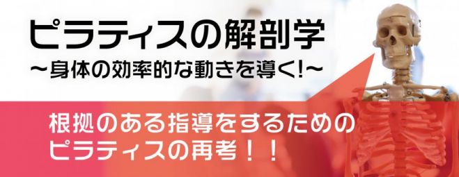 ピラティスの解剖学 ~身体の効率的な動きを導く!~