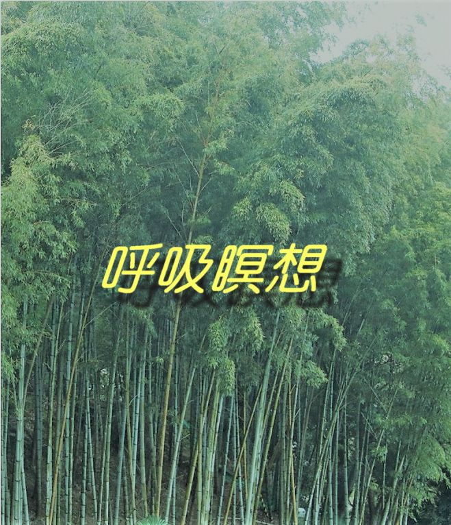 呼吸瞑想(6) ダイナミック瞑想