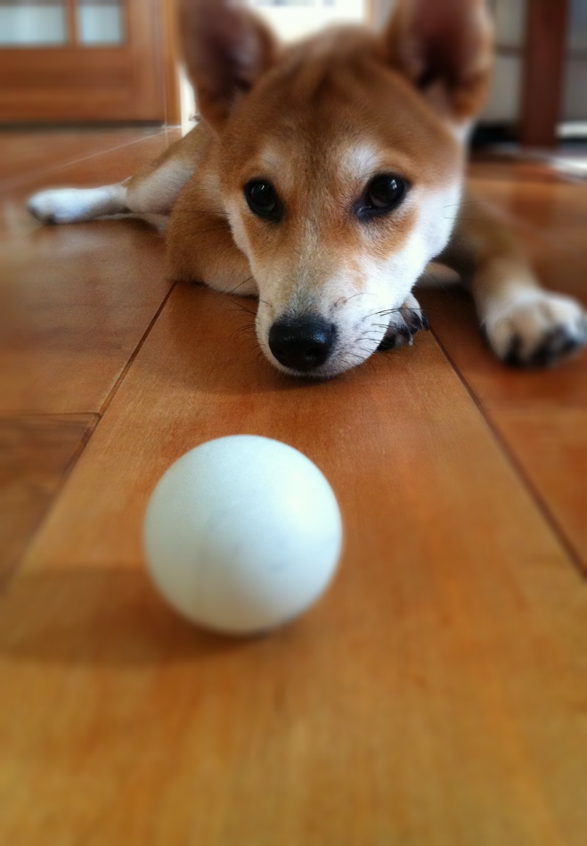 写真3