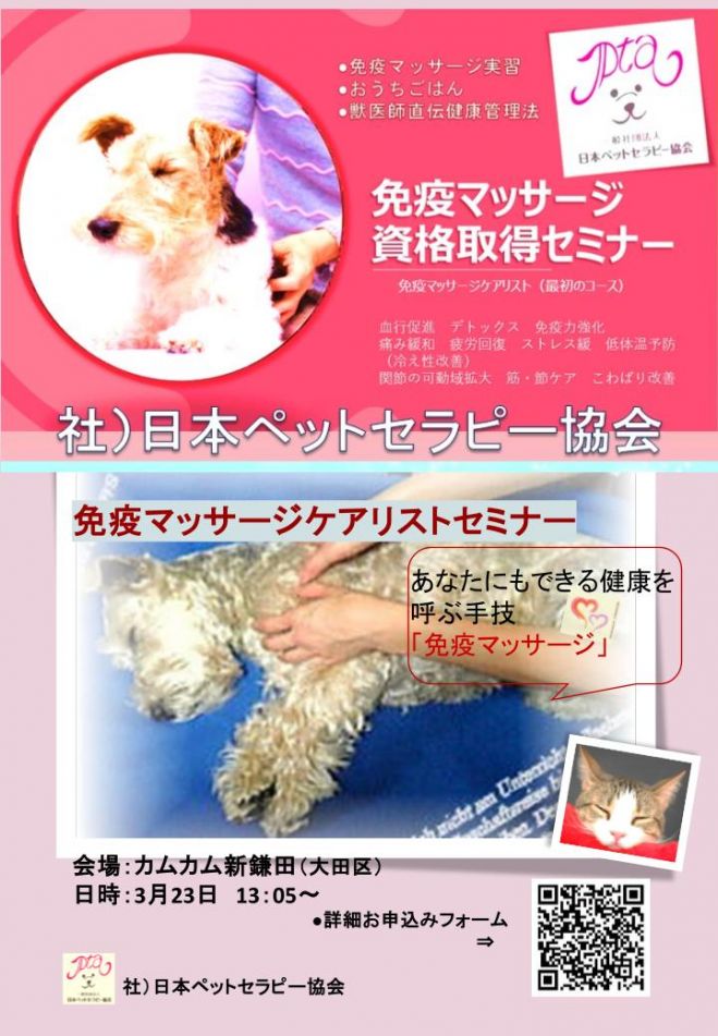 ドッグマッサージイベント特集 - こくちーずプロ