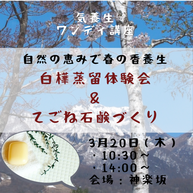 T　気功セミナー　星座3 最新Z世代マーケティング無料セミナー】11月5日（火）12:00