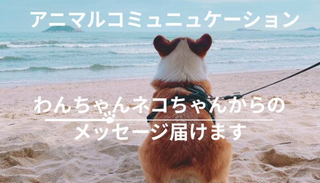チャネリング」セミナー・勉強会・イベント - こくちーずプロ