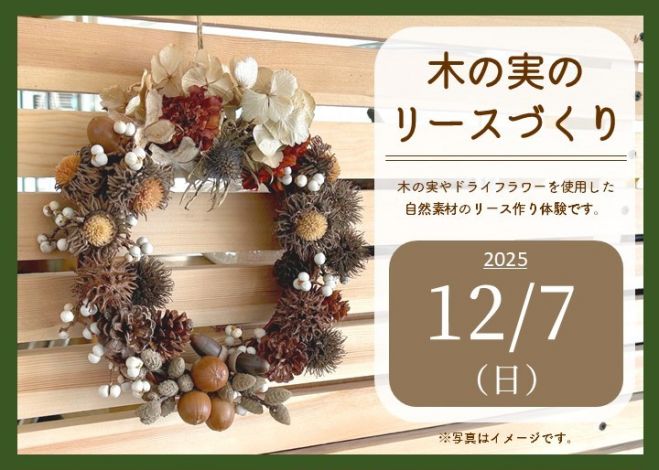 11.宿り木リース 特価◎【ドライ】GREENHOUSE/ナチュラルリース LL スタンダードピンク