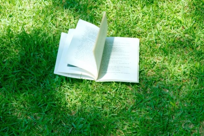 今年こそ 今 ここ から人生に読書活用 マインドフル速読体験 読み方や自分に意識向け マインドフル 集中力x脳力 読書速度2倍up 大阪梅田 19年1月10日 1 10thmf Qr 大阪府 こくちーずプロ