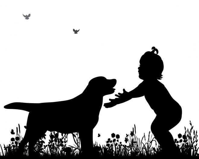 石綿美香氏の犬クラス イヌの視点 ヒトの視点 より深い関係を築くために 18年8月24日 18年8月クラス 愛知県 こくちーずプロ 石綿美香氏の犬クラス イヌの視点 ヒトの視点 より深い関係を築くために 18年8月24日 18年8月クラス 愛知県 こくちーずプロ