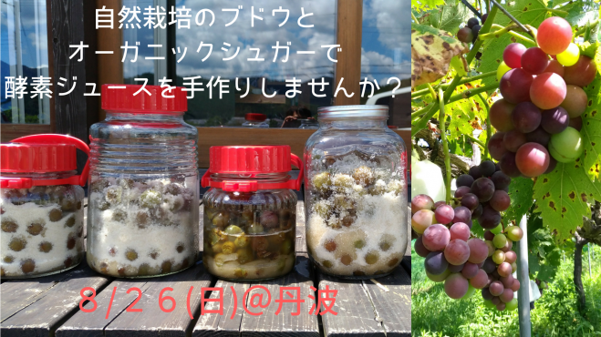 8 26 日 自然栽培葡萄の酵素ジュース作り 丹波 三心五観 18年8月26日 兵庫県 こくちーずプロ