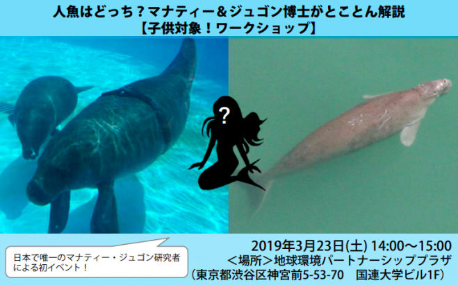 人魚はどっち マナティー ジュゴン博士がとことん解説 子供対象 ワークショップ 19年3月23日 東京都 こくちーずプロ