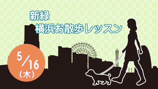 海辺でランチ 横浜 犬同伴 横浜お散歩レッスン 5月クラス 19年5月16日 神奈川県 こくちーずプロ 海辺でランチ 横浜 犬同伴 横浜お散歩レッスン 5月クラス 19年5月16日 神奈川県 こくちーずプロ