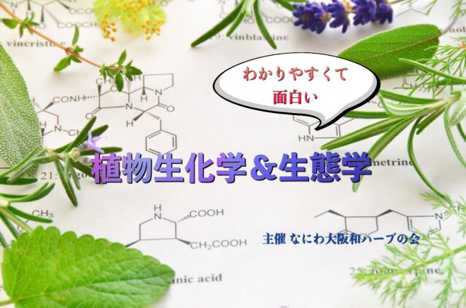 わかりやすくて面白い植物生化学 生態学 サクラの葉の香りは 毒のサイン 19年7月21日 大阪府 こくちーずプロ