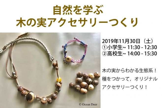自然を学ぶ木の実アクセサリーつくり 家族向け 大人向けの2回開催 19年11月30日 東京都 こくちーずプロ