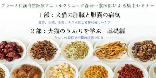 大阪開催 集中セミナー 犬猫の肝臓と胆嚢の病気 と 犬猫のうんちを学ぶ 基礎編 年2月1日 大阪府 こくちーずプロ 大阪開催 集中セミナー 犬猫の肝臓と胆嚢の病気 と 犬猫のうんちを学ぶ 基礎編 年2月1日 大阪府 こくちーずプロ