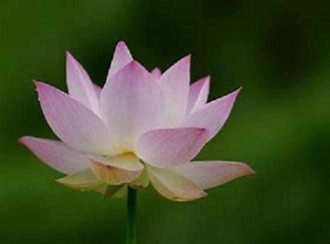 掛川市生涯学習センターのイベント セミナー 静岡県のセミナー会場 こくちーずプロ