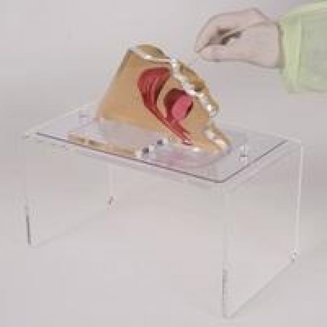 喀痰吸引等研修3号研修 3月開催 名古屋 年3月16日 年3月23日 愛知県 こくちーずプロ