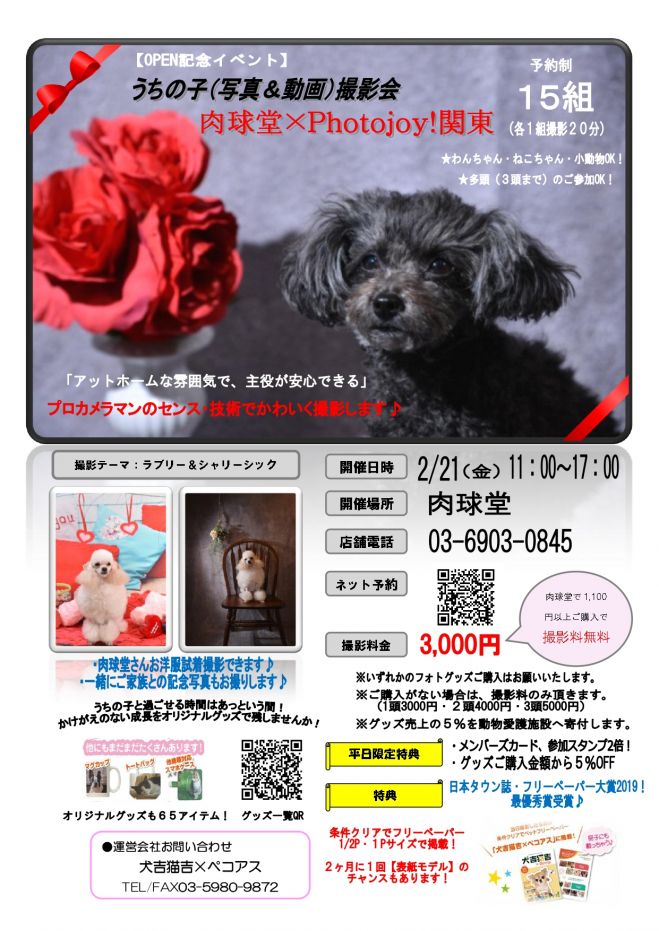 うちの子 写真 動画 撮影会 ペットグッズ 用品肉球堂 Photojoy 関東 年2月21日 東京都 こくちーずプロ