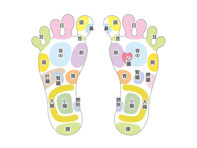 痛気持ちいい 本格的リフレクソロジーを一から学べる6回講座 年2月13日 年2月27日 兵庫県 こくちーずプロ