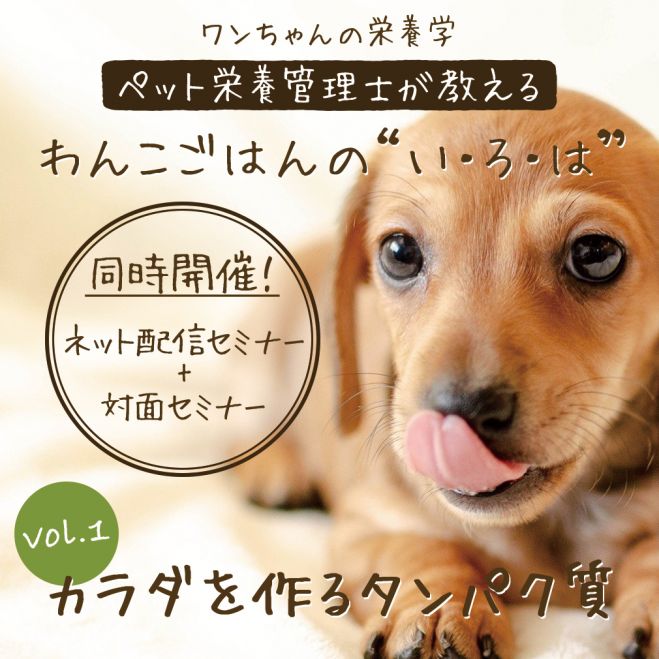 ペット栄養管理士が教える ワンちゃんの栄養学 Vol 1 渋谷 Zoom 2020年3月8日 東京都 こくちーずプロ