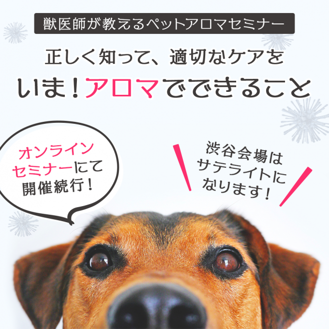 いま アロマでできること 獣医師が教えるペットアロマセミナー 年3月22日 東京都 こくちーずプロ
