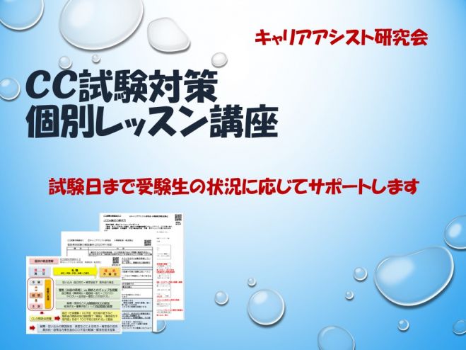第15回キャリアコンサルタント試験対策 個別レッスン講座 面接 論述 初回17名募集 4月19 25 26日開催 申込画面 年4月19日 東京都 こくちーずプロ
