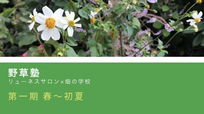 野草塾 第一期 春 初夏 年4月1日 年6月17日 沖縄県 こくちーずプロ