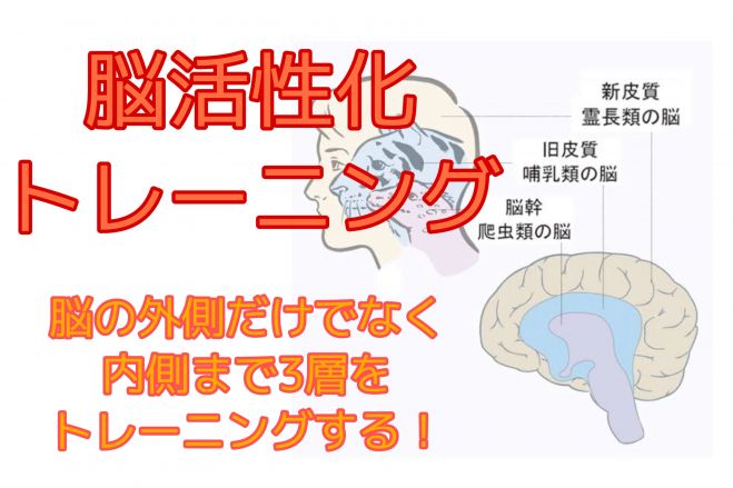 脳の内側まで活性化するトレーニング 体操 呼吸 瞑想で脳を上手く使うオンラインセミナー 2020年5月30日 兵庫県 こくちーずプロ