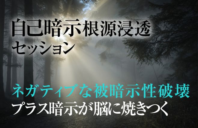 自分に暗示をかける能力覚醒 ネガティブ自己暗示を破壊 ポジティブ自己暗示の塊へ 自己暗示浸透誘導確約 21年3月27日 21年12月26日 東京or大阪 プラス暗示浸透セッション 東京都 こくちーずプロ