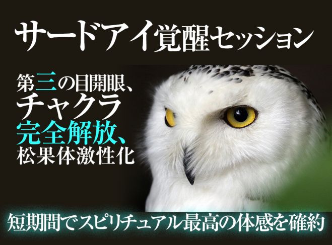 サードアイ覚醒 サードアイが確実に開くスピリチュアル覚醒技術 第三の目開眼 21年8月7日 22年5月29日 東京or大阪 サードアイ覚醒セッション 東京都 こくちーずプロ