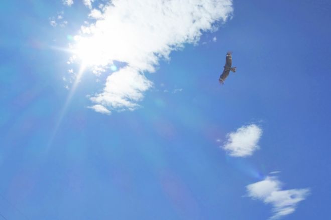 オンライン・声のヨガ(ヨガ・オブ・ボイス)