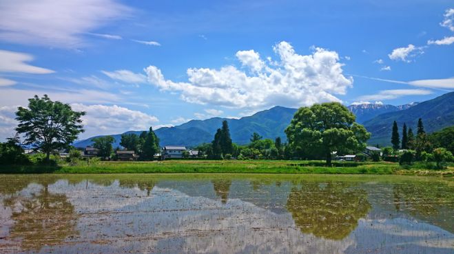 大阪 西宮 気功オンライン体験