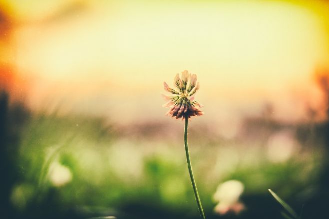 HSPのお茶会 オンライン