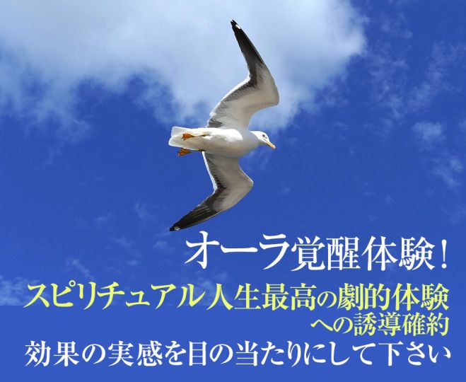 オーラ強化覚醒 オーラの強さ 輝き 密度が劇的に増える スピリチュアル人生最強のオーラ覚醒体感へ誘導確約 年10月3日 21年7月25日 東京or大阪 オーラを高める奇跡体験 東京都 こくちーずプロ