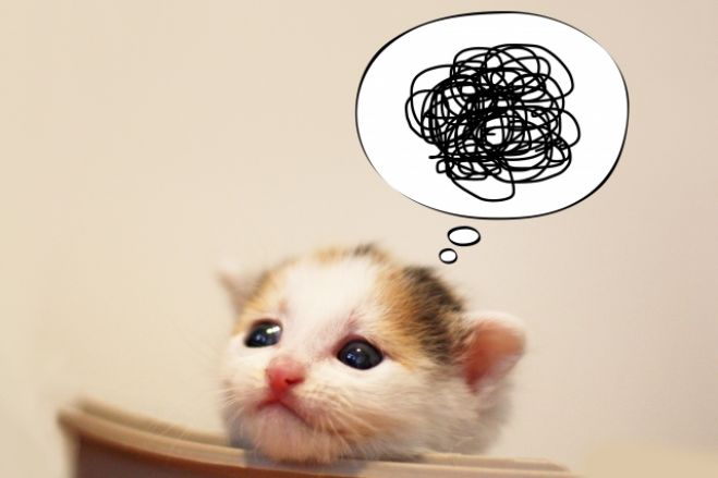 【特別相談会!】いまの自分を知って受け入れ、なりたい自分に近づこう!