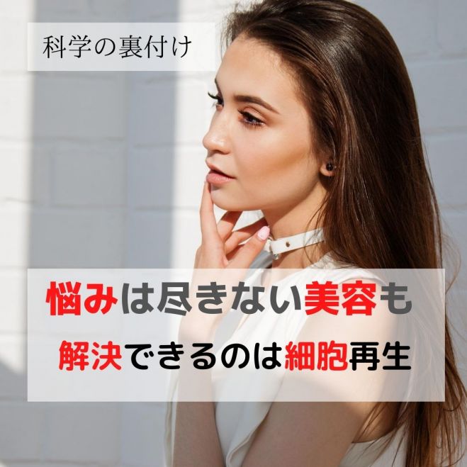 今、手にしておきたい!細胞再生インストラクター資格