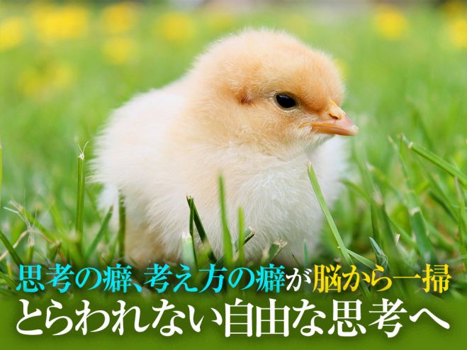 思考の癖直す 自分を追い詰める考え方の癖を治す革新的セッション 脳から自動思考を変える 21年10月17日 22年5月29日 東京 大阪 脳の癖を変える 東京都 こくちーずプロ 思考の癖直す 自分を追い詰める考え方の癖を治す革新的セッション 脳から自動思考を変える 21年10月17日 22年5月29日 東京 大阪 脳の癖を変える 東京都 こくちーずプロ