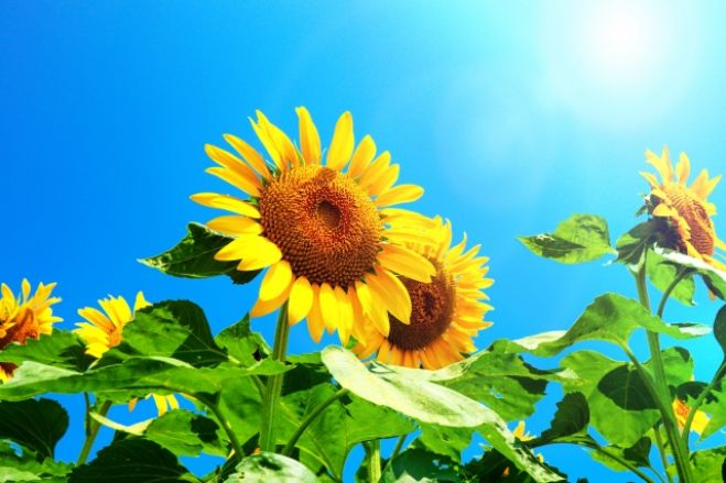お金 時間 仕事 あなたの思いを聞かせてください 年8月5日 オンライン Zoom こくちーずプロ お金 時間 仕事 あなたの思いを聞かせてください 年8月5日 オンライン Zoom こくちーずプロ